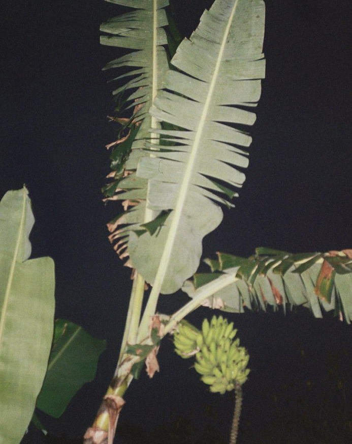 gallery_10